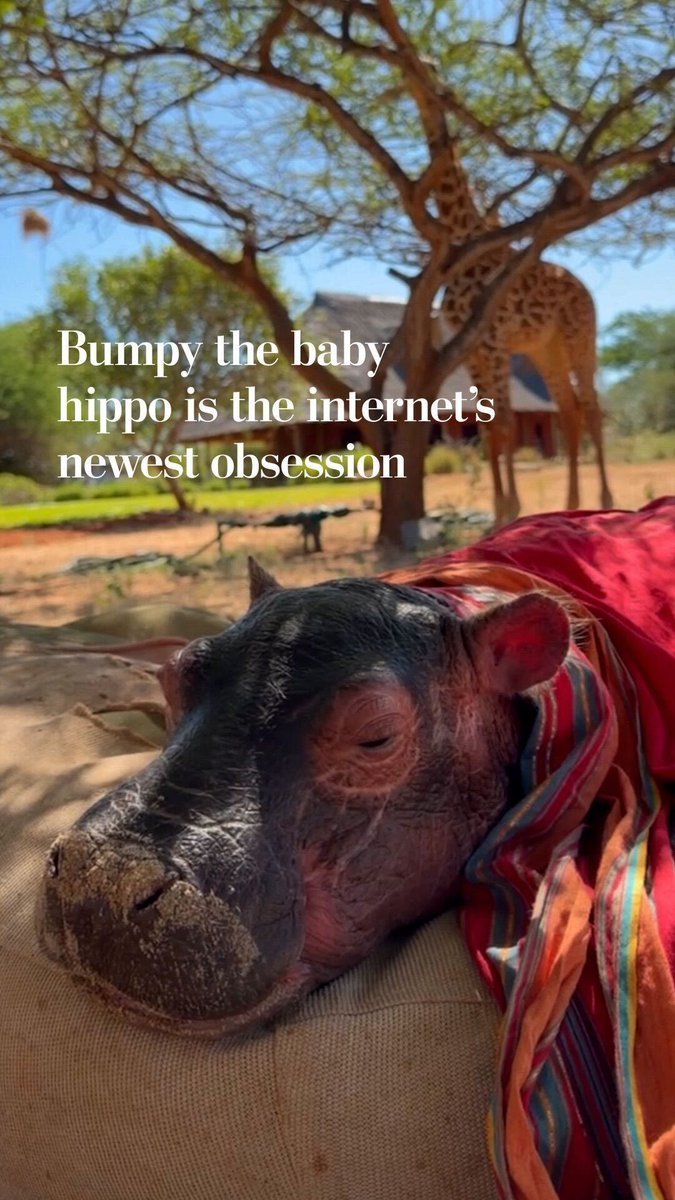 BUMPY