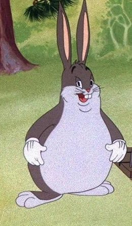 CHUNGUS