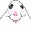 Hamster