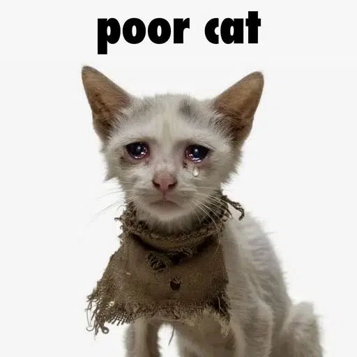 POORCAT