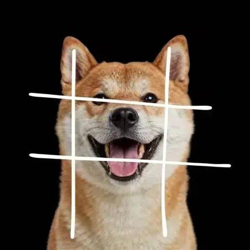 HASHDOG