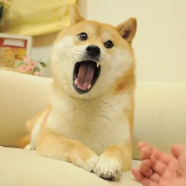 BWOW