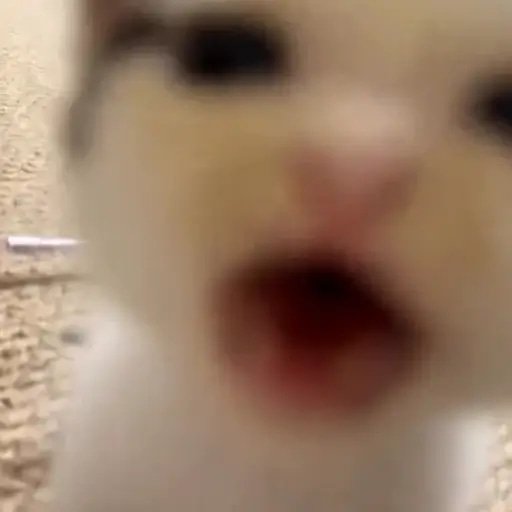 AAAAAAAAAAAAA