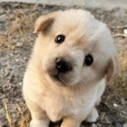 jon