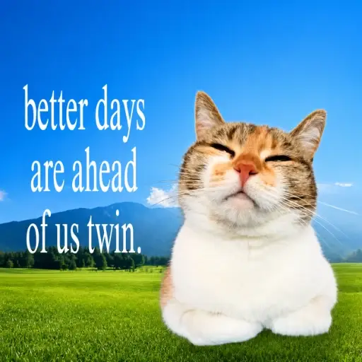 Twin