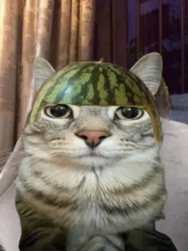 Melon