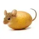 motato