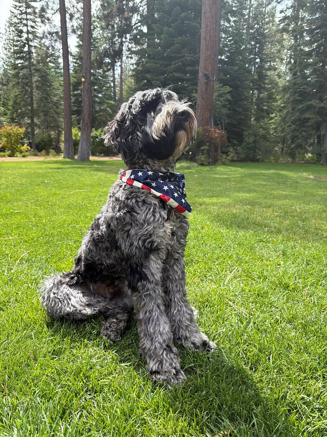 BENNY — Benny Solana token traded by KOLs