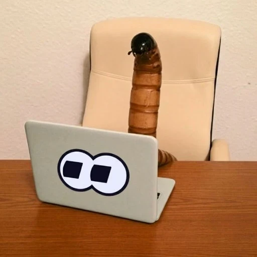 QWORM