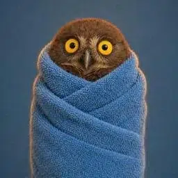 wOWL