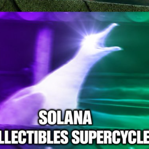 SOLGULL