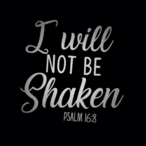 PSLAM16:8