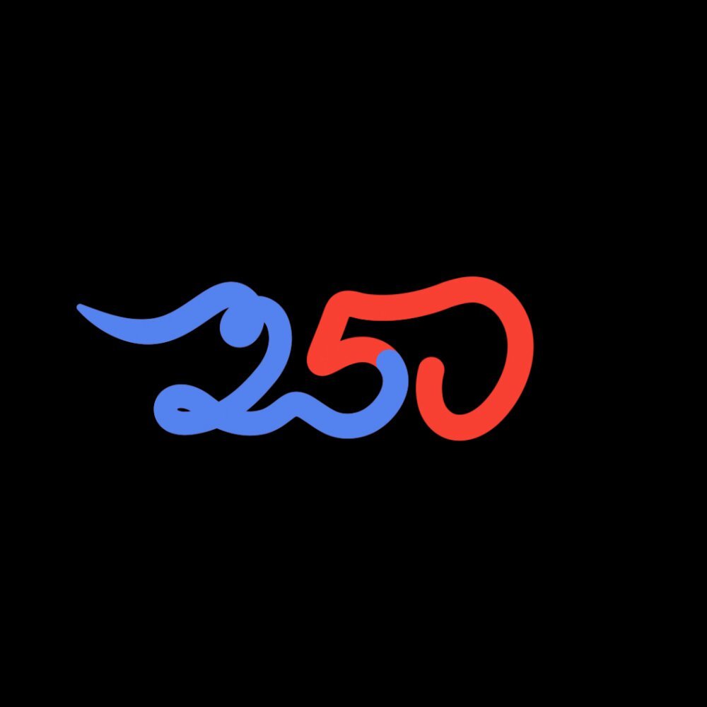 250