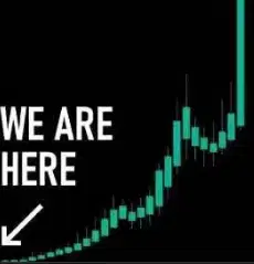 1M