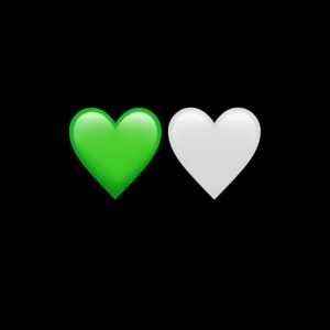 💚🤍