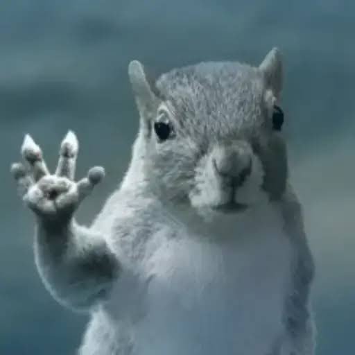 SQUIRREL logo