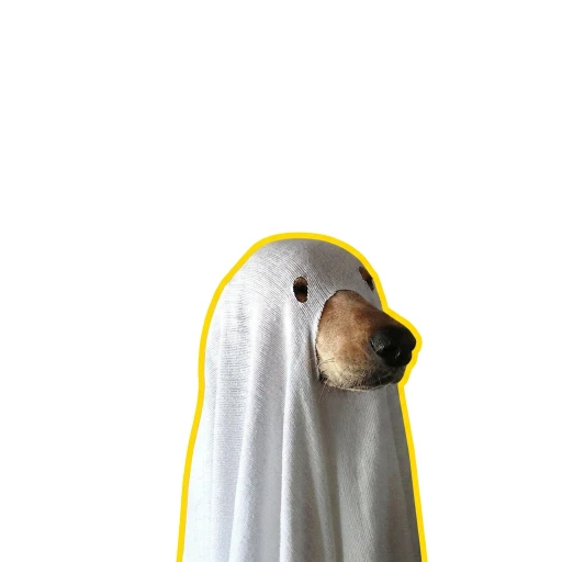 ㅤㅤㅤ