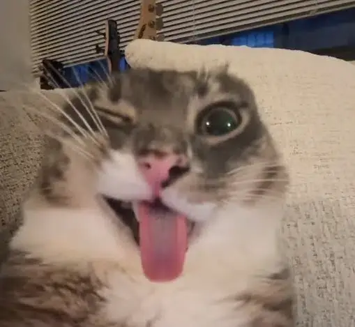 Rigby