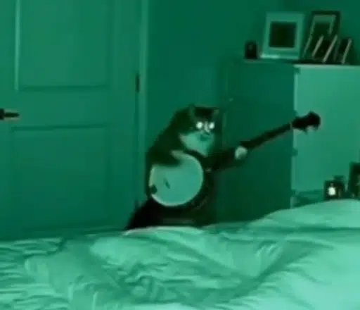 Banjo