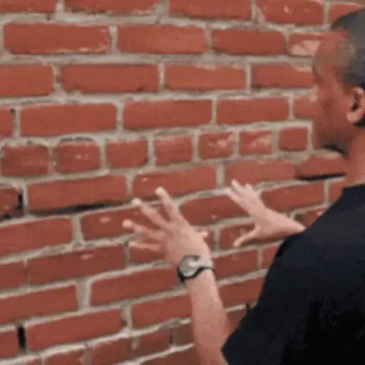 BRICKS