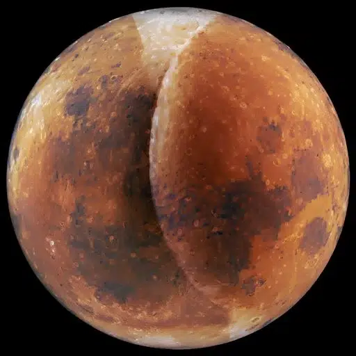 ASS