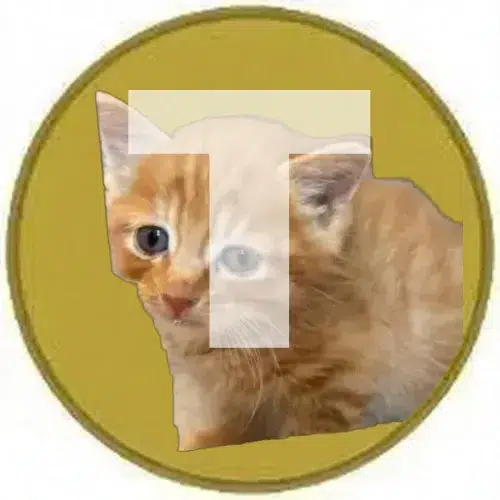 TSU