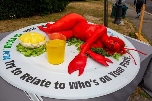 Lobstass