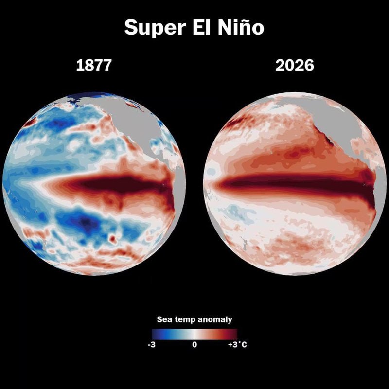 ELNIñO logo