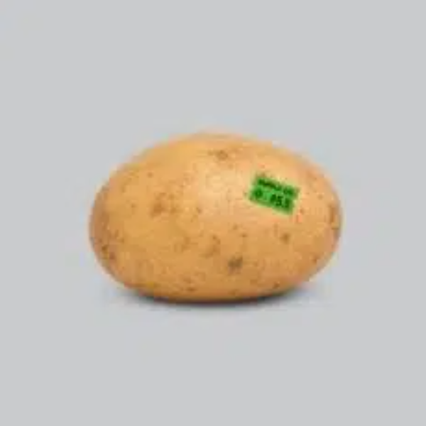 Spud — Spud Solana token traded by KOLs