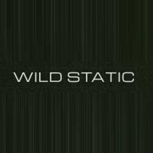 STATIC