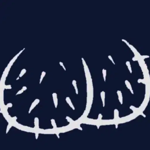 Balls