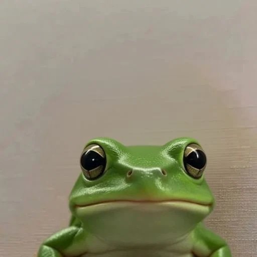 frog