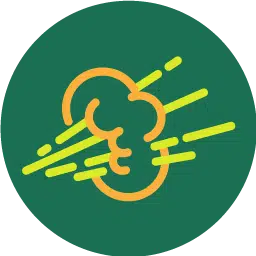 RFART
