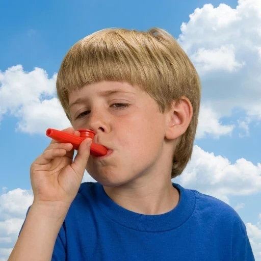 KAZOOKID