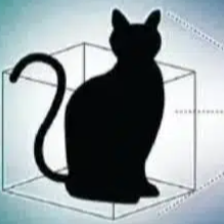 $Cat token logo