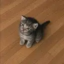micro
