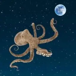 Octopus