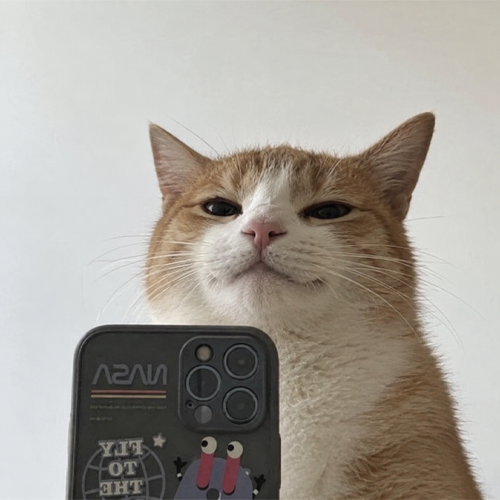 Selfie