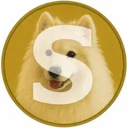 Shoob — recently traded by Theo on Solana