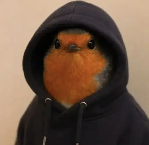 hood — robin hood Solana token traded by KOLs