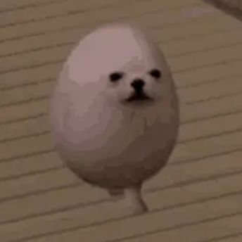 Eggdog