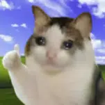 Ok