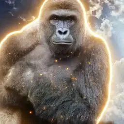 HARAMBE