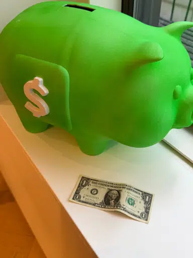 CASHPIG