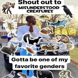 CREATURES