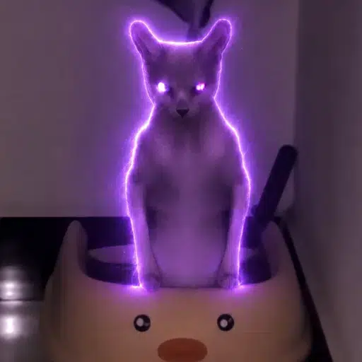 Beerus