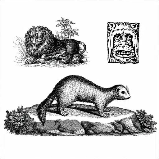 Animals