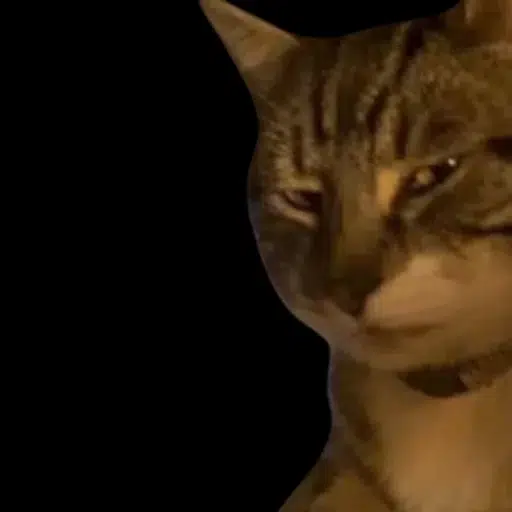 Luca