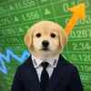 Nasdog