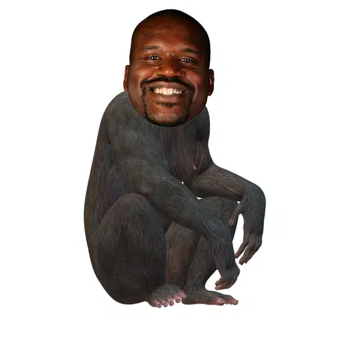 apes